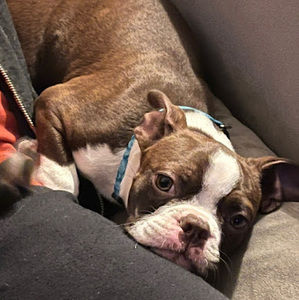 Meet your Posher, Robyn